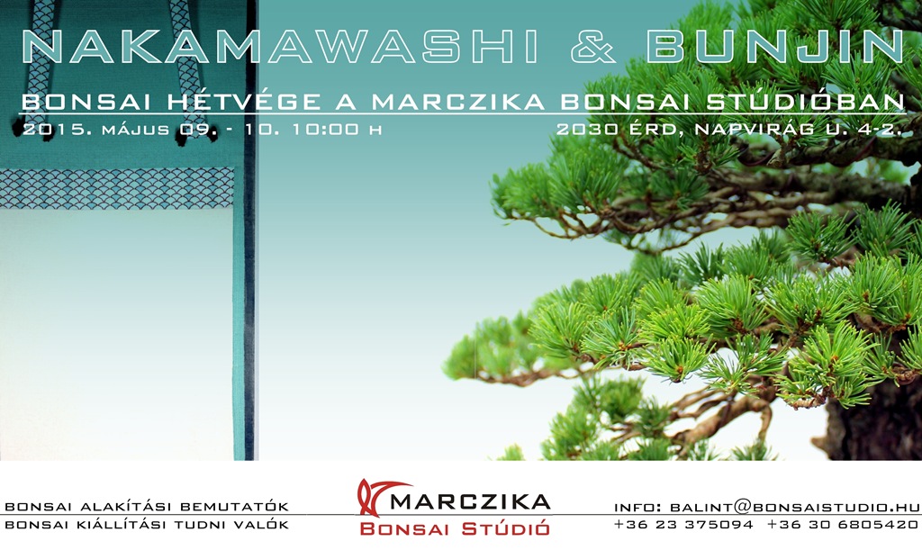 bonsai alakitasi esemeny rendezveny bonsaj demo bemutato a marczika bonsai studio kerteszeteben erden